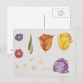 Carte Postale Pansies et tulipes (Devant / Derrière)