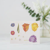 Carte Postale Pansies et tulipes (Debout devant)