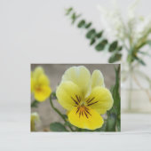 Carte postale Pansies Jaunes (Debout devant)