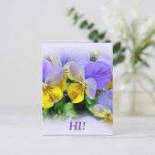 Carte Postale Pansies - pourpre et jaune (Debout devant)