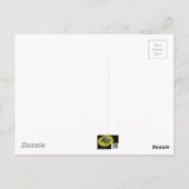 Carte Postale Pansies - pourpre et jaune (Dos)