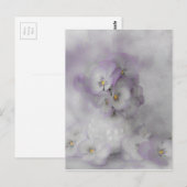 Carte Postale Pansies souples (Devant / Derrière)