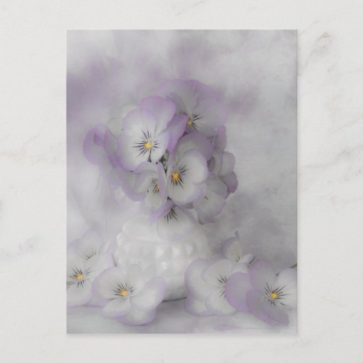 Carte Postale Pansies souples (Devant)