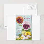 Carte Postale Pansies vintages (Devant / Derrière)