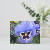 Carte Postale Pansy (Debout devant)