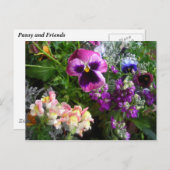 Carte postale Pansy et Friends (Devant / Derrière)