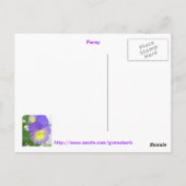 Carte postale Pansy Facile (Dos)