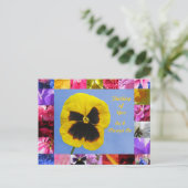 Carte postale Pansy Garden (Debout devant)