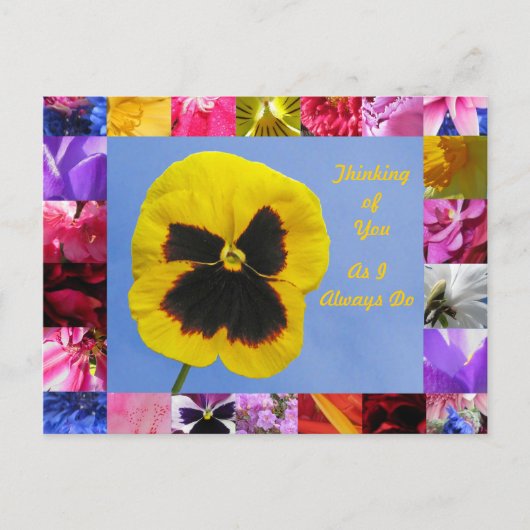 Carte postale Pansy Garden (Devant)