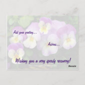 Carte Postale Pansy ~ Get Well Postcard (Dos)