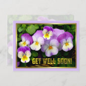 Carte Postale Pansy ~ Get Well Postcard (Devant / Derrière)
