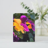 Carte postale Pansy orange et violet (Debout devant)