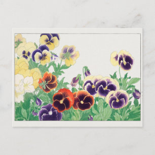Carte Postale Pansy par Tanigami Konan