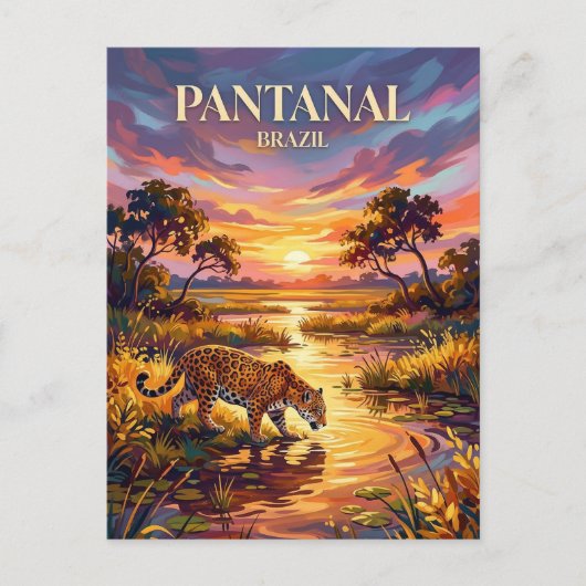 Carte Postale Pantanal Brazil (Devant)