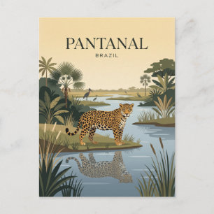 Carte Postale Pantanal Brésil