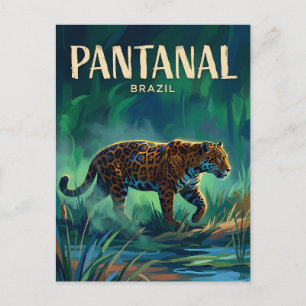 Carte Postale Pantanal Brésil