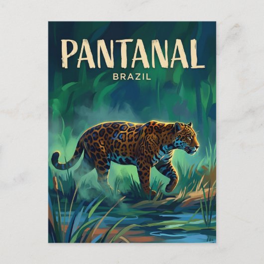 Carte Postale Pantanal Brésil (Devant)