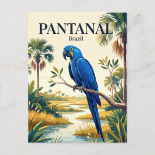 Carte Postale Pantanal Brésil
