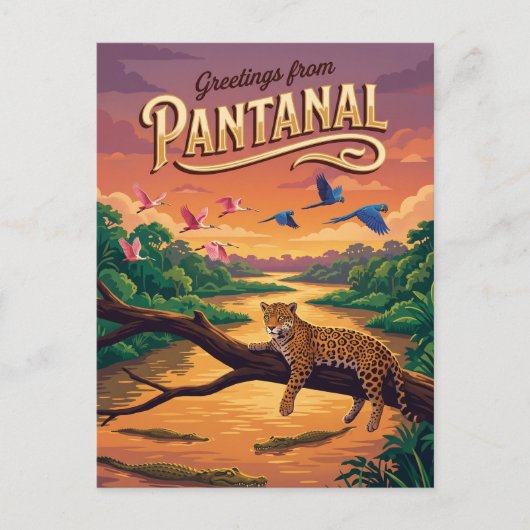 Carte Postale Pantanal Brésil (Devant)