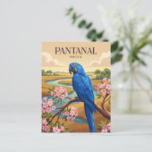 Carte Postale Pantanal Brésil (Debout devant)
