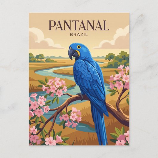 Carte Postale Pantanal Brésil (Devant)