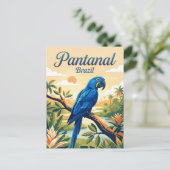 Carte Postale Pantanal Brésil (Debout devant)