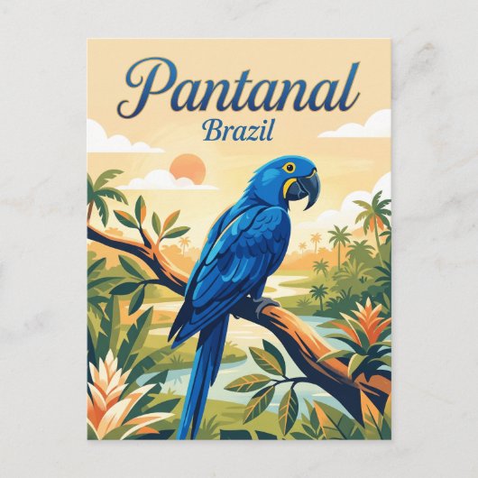 Carte Postale Pantanal Brésil (Devant)