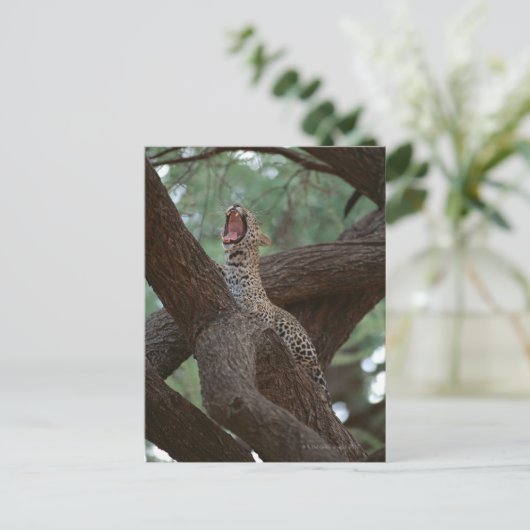 Carte Postale Panther (Debout devant)