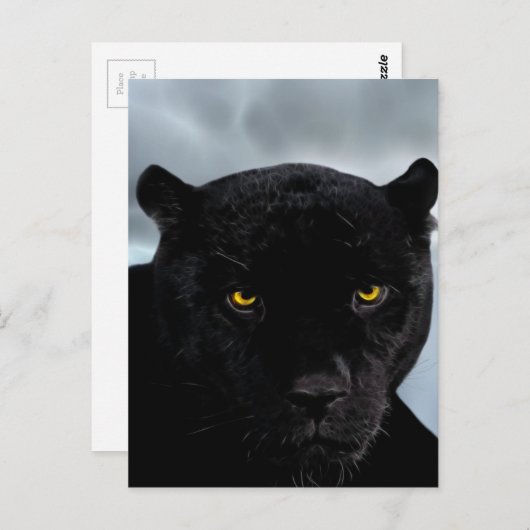 Carte Postale Panthère noire (Devant / Derrière)