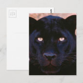 Carte Postale Panthère noire (Devant / Derrière)