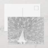 Carte postale - Paon à colorier (Devant / Derrière)