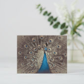 Carte Postale Paon Bleu Antique (Debout devant)