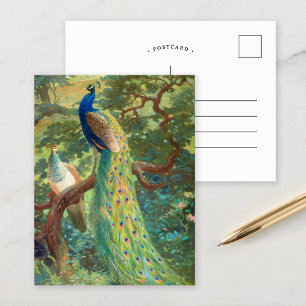 Carte Postale Paon indien   Charles Robert Knight