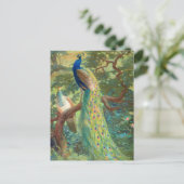 Carte Postale Paon indien | Charles Robert Knight (Debout devant)