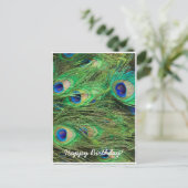 Carte Postale Paon magnifique (Debout devant)