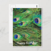 Carte Postale Paon magnifique (Devant / Derrière)