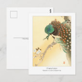 Carte Postale Paon sur le cerisier en fleurs - Ohara Koson + (Devant / Derrière)