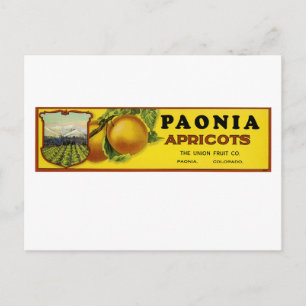 Carte Postale Paonia Apricots Art Étiquette