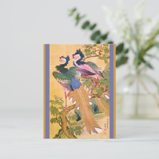 Carte Postale paonnotebue (Debout devant)