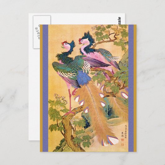 Carte Postale paonnotebue (Devant / Derrière)