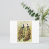 Carte Postale Paons vintages (Debout devant)