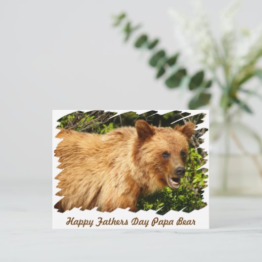 Carte Postale Papa Bear (Debout devant)