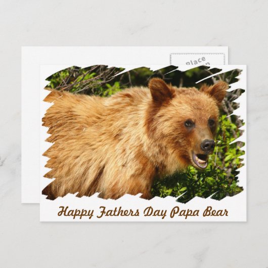 Carte Postale Papa Bear (Devant / Derrière)