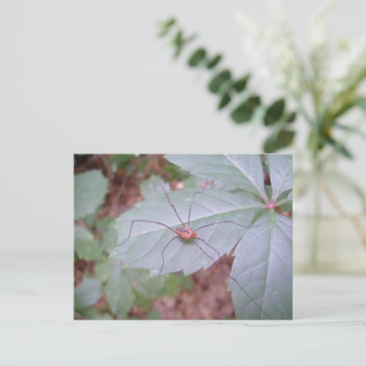 Carte Postale Papa Long Jambes (Debout devant)