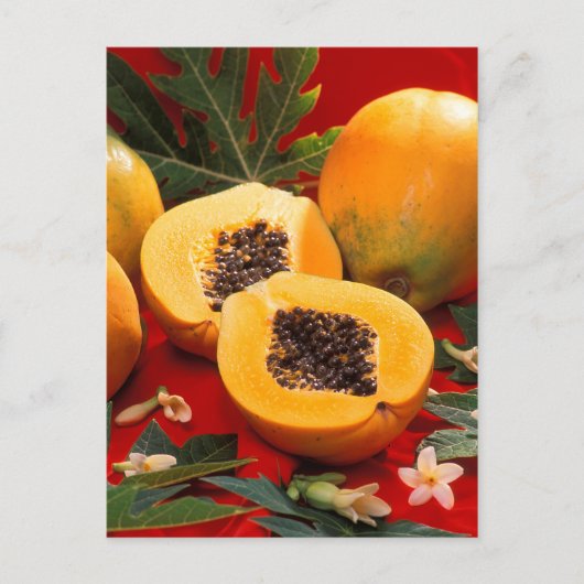 Carte Postale Papaya (Devant)