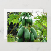 Carte Postale Papaya (Devant / Derrière)