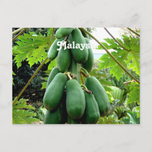 Carte Postale Papaya