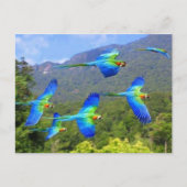 Carte Postale papeai (Devant)