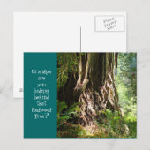Carte Postale Papi, vous cachez-vous derrière cet arbre Redwood? (Devant / Derrière)