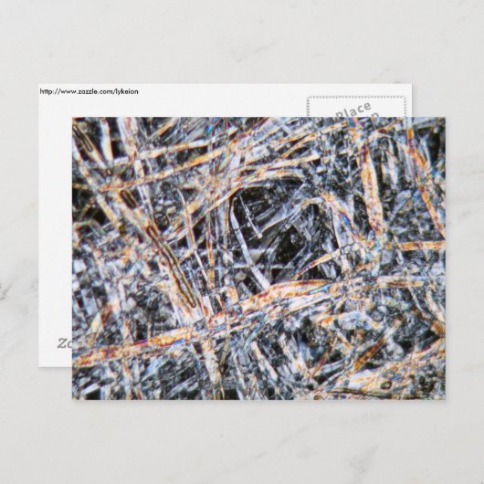 Carte Postale Papier au microscope (Devant / Derrière)